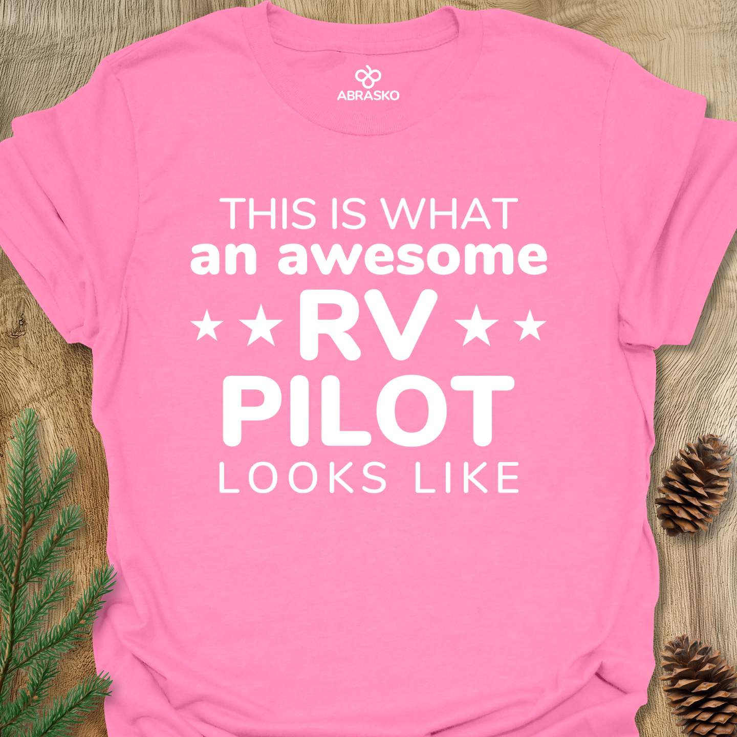 An Awesome RV Pilot