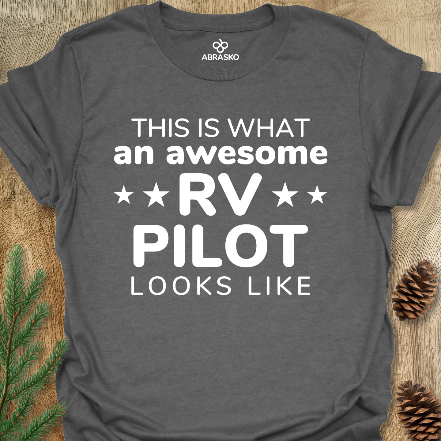 An Awesome RV Pilot