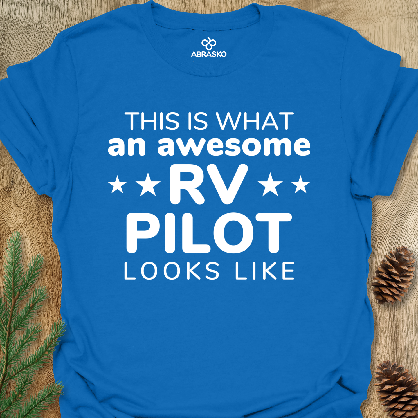 An Awesome RV Pilot
