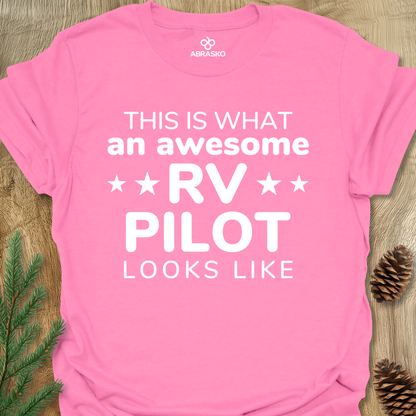 An Awesome RV Pilot